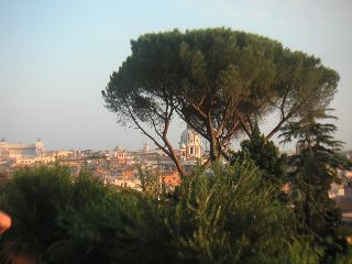 PICT0037.JPG