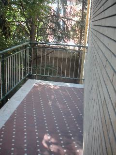 PICT0006.JPG